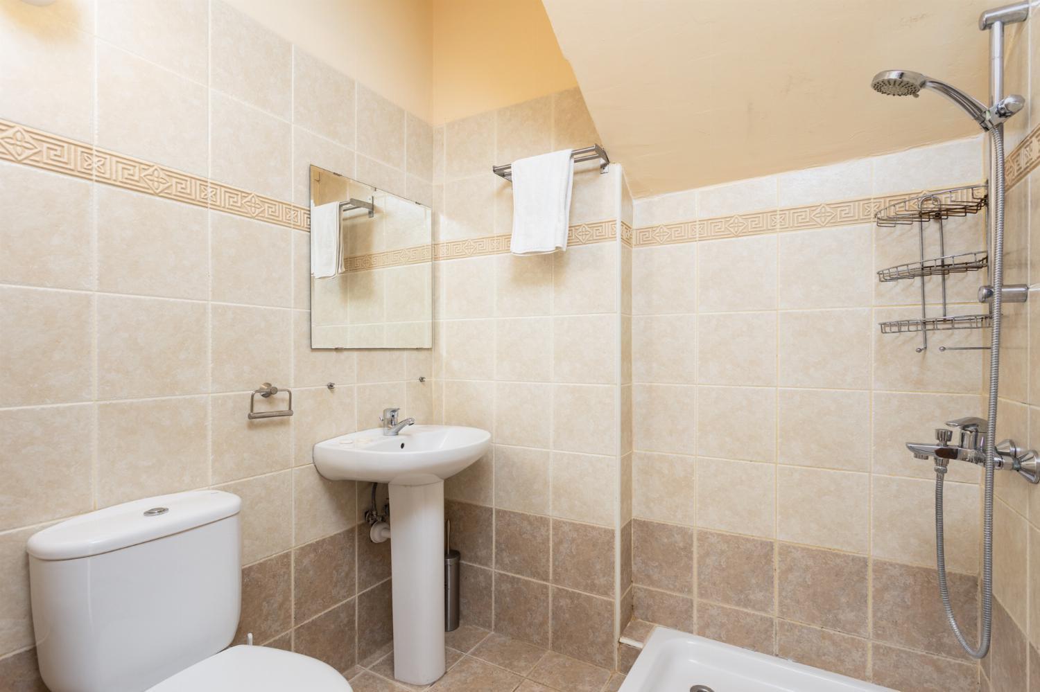 Paphos Villa Kleopatra מראה חיצוני תמונה